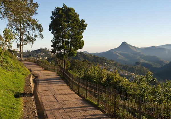 Coakers Walk