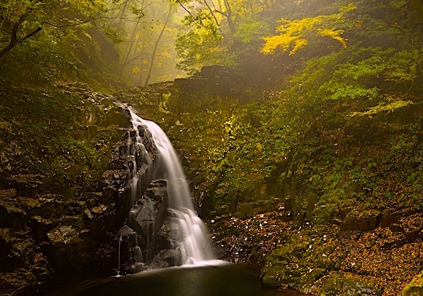 kodaikanal