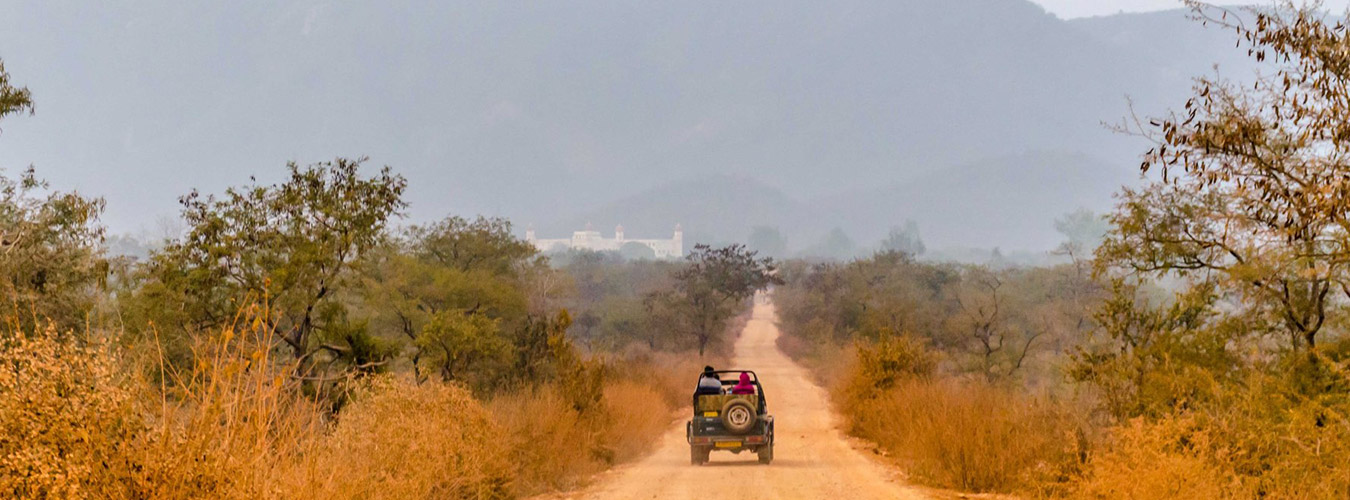 sariska