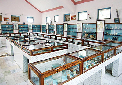 Shell Museum