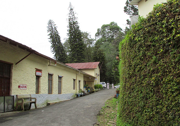 Shenbaganur Museum