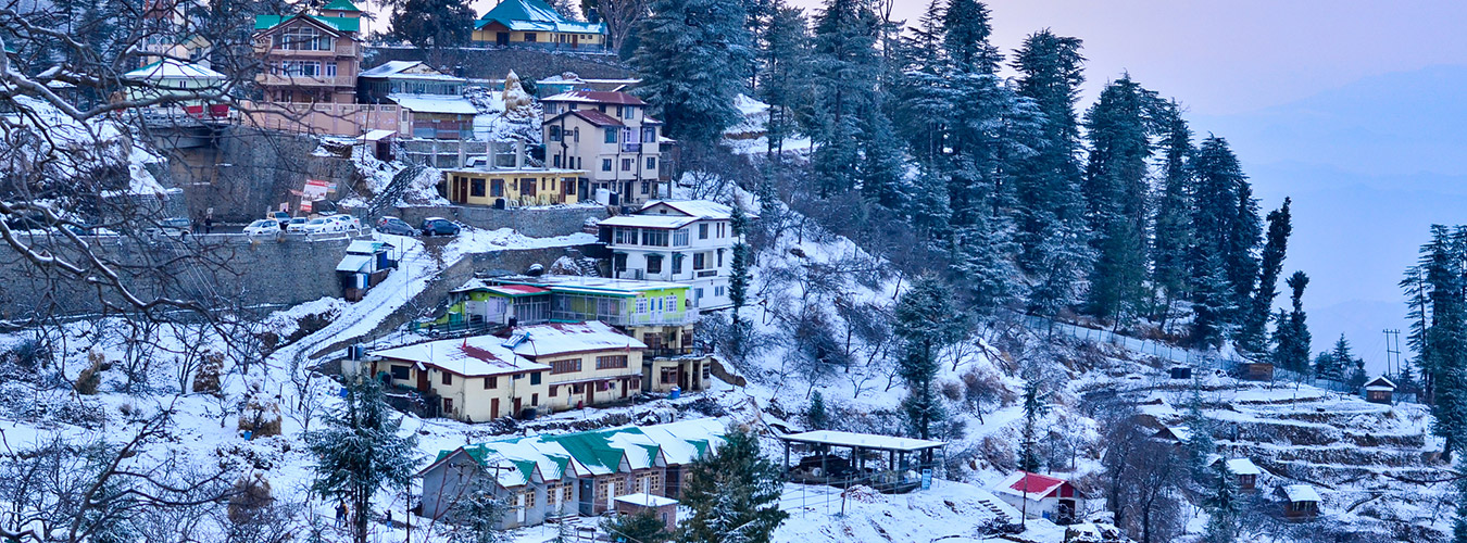 shimla